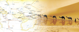 16853ac8747eaa.jpeg